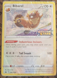 BRILLIANT STARS - Bibarel